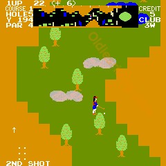 Tournament Pro Golf sur Arcade